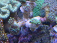 JAN 9TH 2006 006.jpg