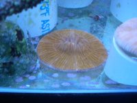 JAN 9TH 2006 007.jpg