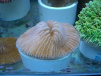 JAN 9TH 2006 008.jpg