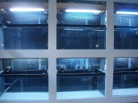 PC100153 (Custom).JPG