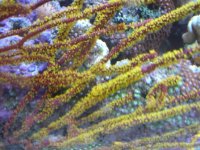 JAN 9TH 2006 009.jpg