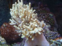 JAN 9TH 2006 010.jpg