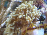 JAN 9TH 2006 011.jpg