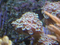 JAN 9TH 2006 013.jpg