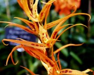 Pic00032 final small.jpg