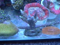 JAN 9TH 2006 015.jpg