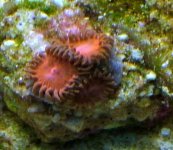 DSCF1175.JPG