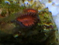DSCF1177.JPG