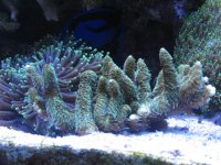 IMG_1309.JPG