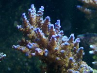 DSCF1180.JPG