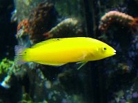 DSCF1144.JPG