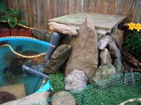 Pond Filter 2 004.jpg