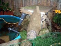 Pond Filter 2 003.jpg