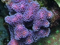 DSCF1152.JPG