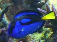 DSCF1192.JPG