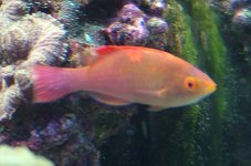 DSCF1017.JPG