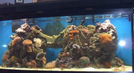 155 updates 12-13-06 001.jpg