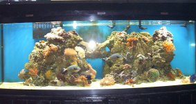 155 updates 12-13-06 002.jpg