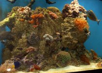 155 updates 12-13-06 003.jpg