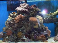 155 updates 12-13-06 004.jpg