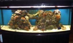 155 updates 12-13-06 005.jpg