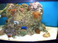 155 updates 12-13-06 006.jpg