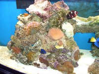 155 updates 12-13-06 007.jpg