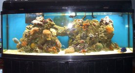 155 updates 12-13-06 009.jpg