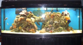 155 updates 12-13-06 010.jpg