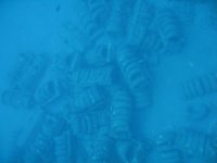 St. Anthony Jan 12 2007 002 small.jpg