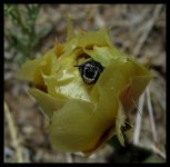 sante fe 118 final.jpg