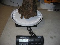 LR weight.jpg