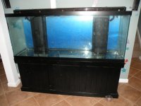 DSCN1028.jpg