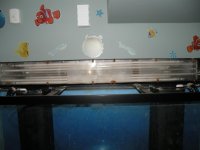 DSCN1029.jpg