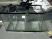 sump pic 1.JPG