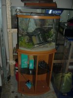 Picture 059.jpg