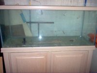 Oceanic 75 G Tank & Stand& Glass Canopy 003.jpg