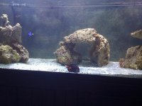 IMG_0042.jpg