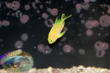 DSC_0007.jpg