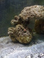 IMG_0054.jpg