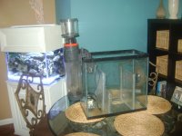 fish tank equipment 018.jpg