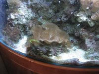 IMG_0256.jpg