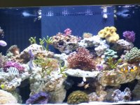 100_3348.jpg