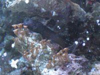 IMG_0274.jpg