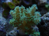 DSC04140.JPG
