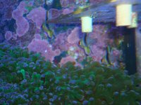 DSC02393.jpg