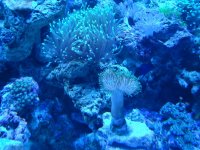 DSC02405.jpg