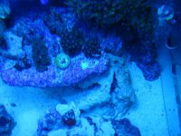 DSC02406.jpg