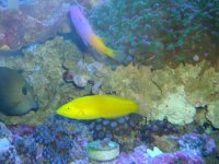 DSC02416.jpg