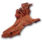 Malaysian driftwood large.jpg